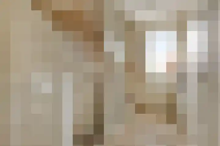 Seginiusstraat 6 Zuidhorn thumbnail 23