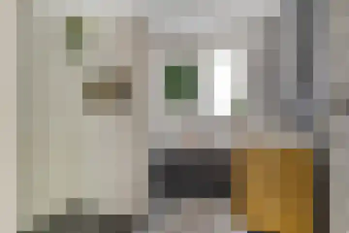 Seginiusstraat 6 Zuidhorn thumbnail 26