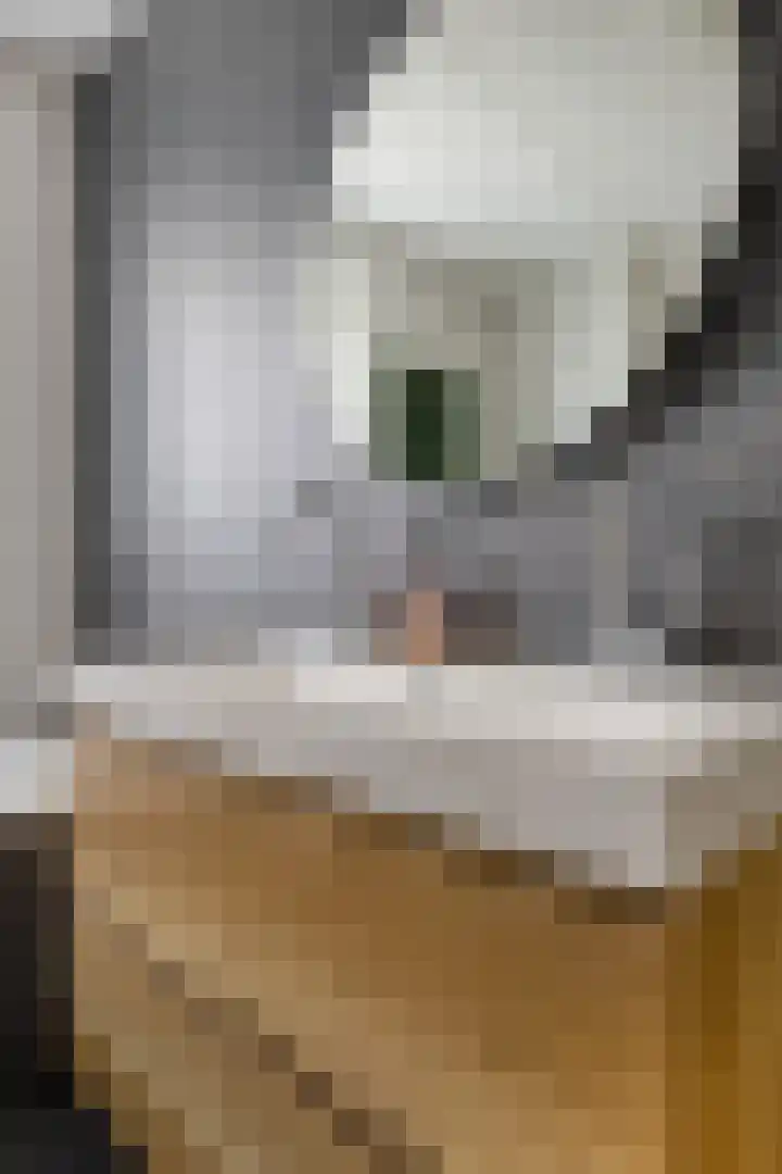 Seginiusstraat 6 Zuidhorn thumbnail 27