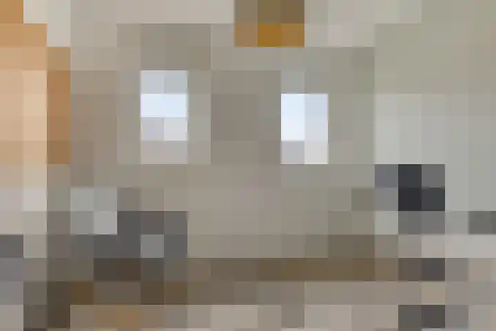 Seginiusstraat 6 Zuidhorn thumbnail 30