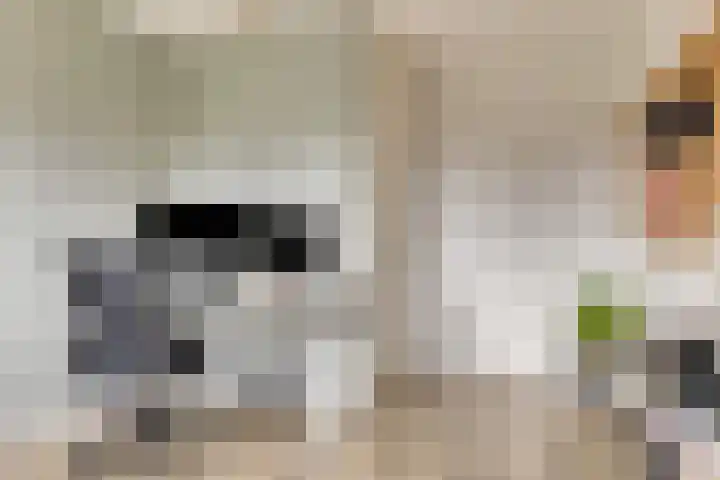 Seginiusstraat 6 Zuidhorn thumbnail 31