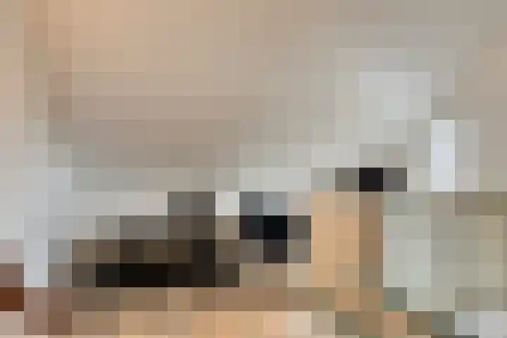 Seginiusstraat 6 Zuidhorn thumbnail 33