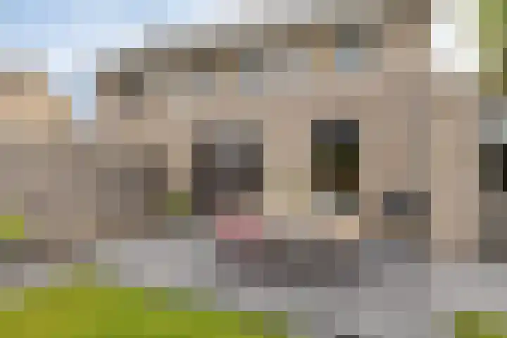 Seginiusstraat 6 Zuidhorn thumbnail 35
