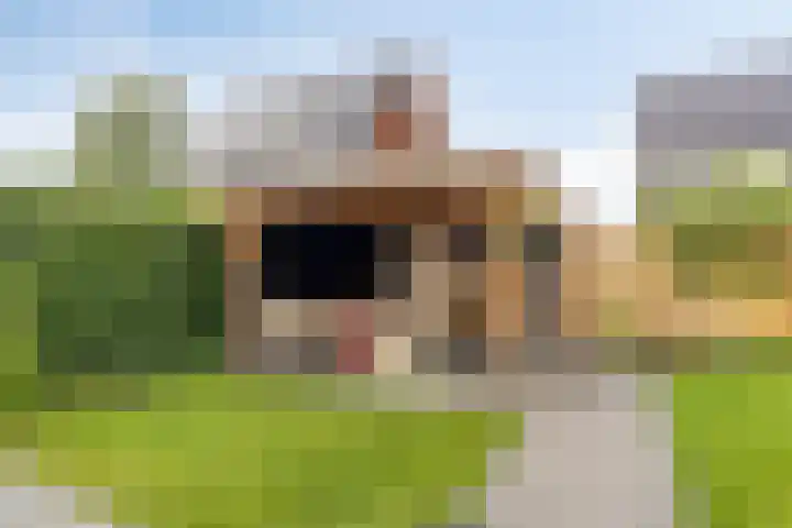 Seginiusstraat 6 Zuidhorn thumbnail 37