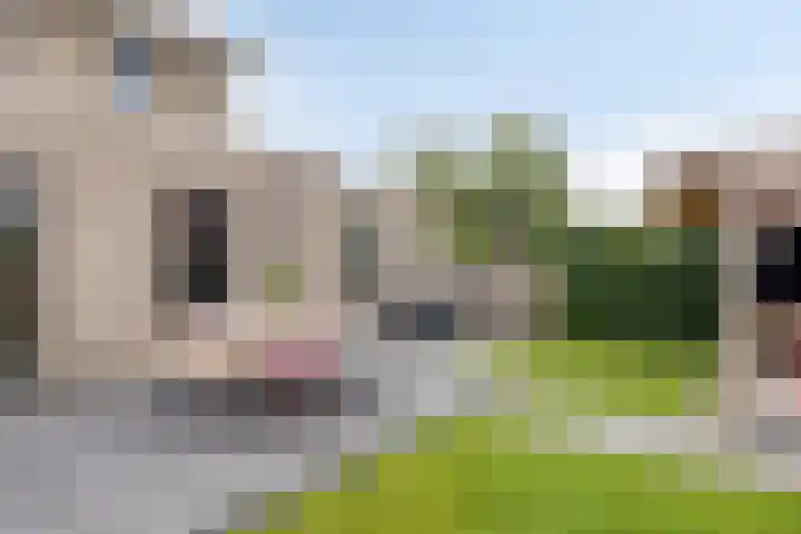 Seginiusstraat 6 Zuidhorn thumbnail 38