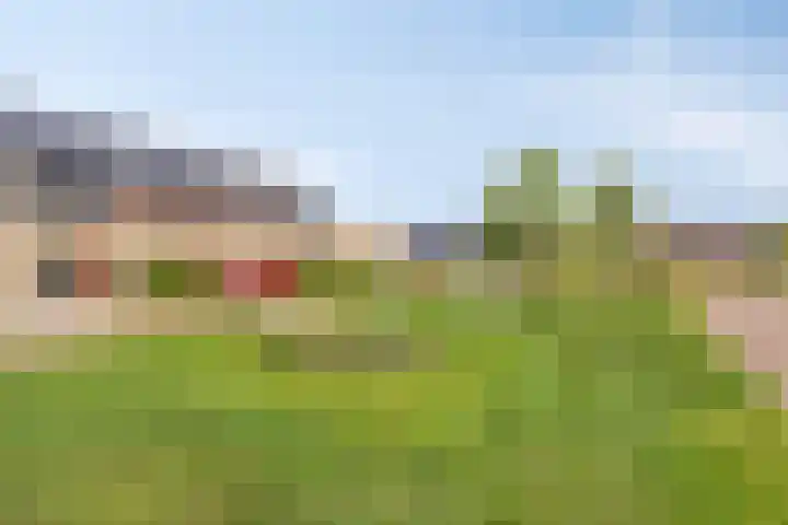 Seginiusstraat 6 Zuidhorn thumbnail 40