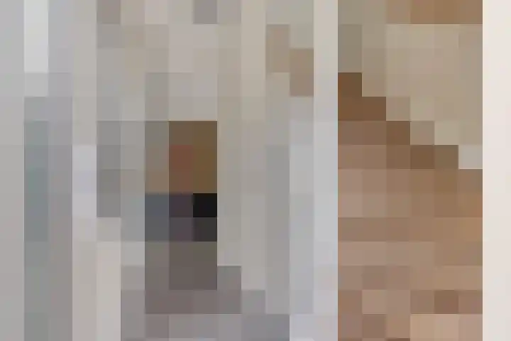 Seginiusstraat 6 Zuidhorn thumbnail 6