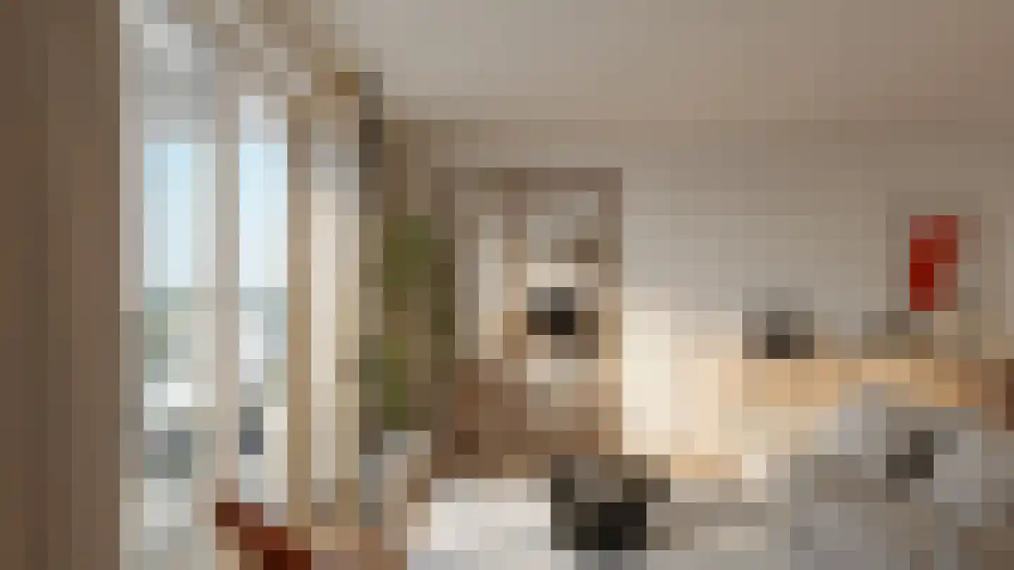 Sein 106 Heerhugowaard thumbnail 6