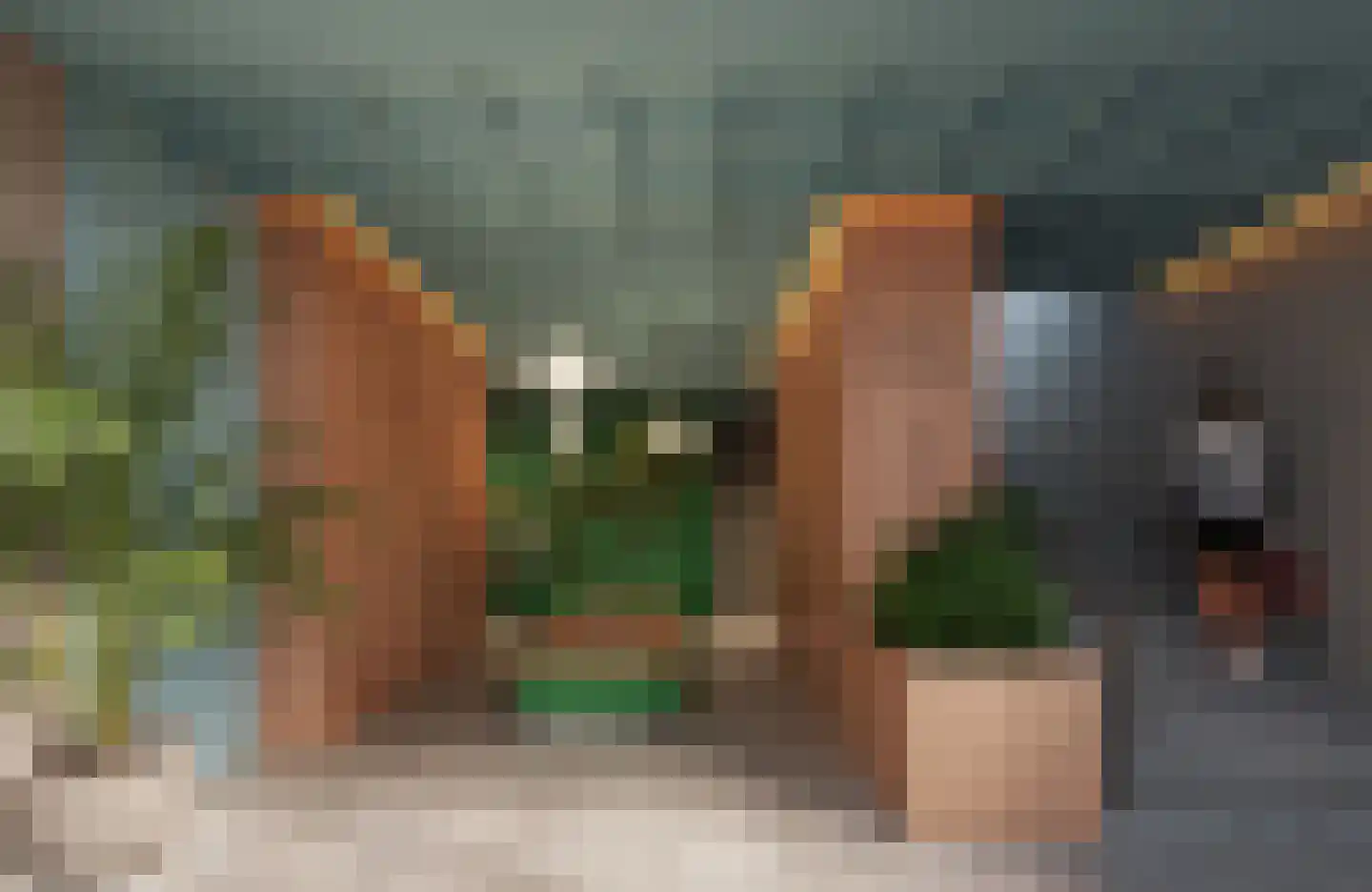 Sein 11 Heerhugowaard thumbnail 5
