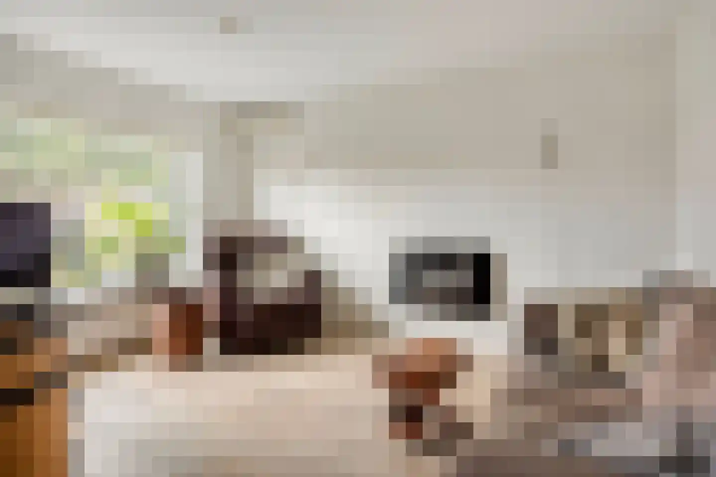 Seine 11 Nieuwerkerk aan den IJssel thumbnail 14