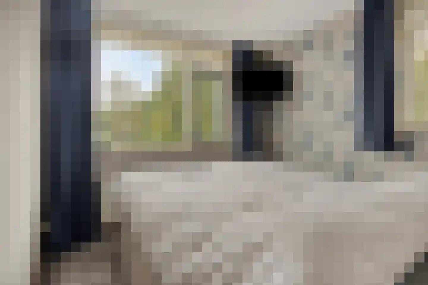 Seine 11 Nieuwerkerk aan den IJssel thumbnail 26