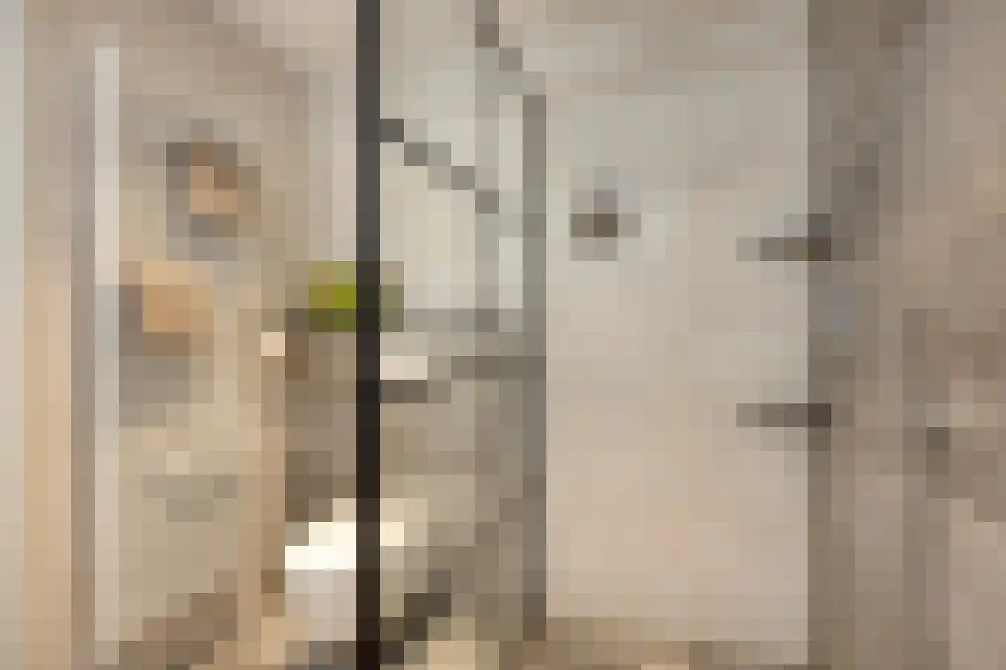Seine 11 Nieuwerkerk aan den IJssel thumbnail 31