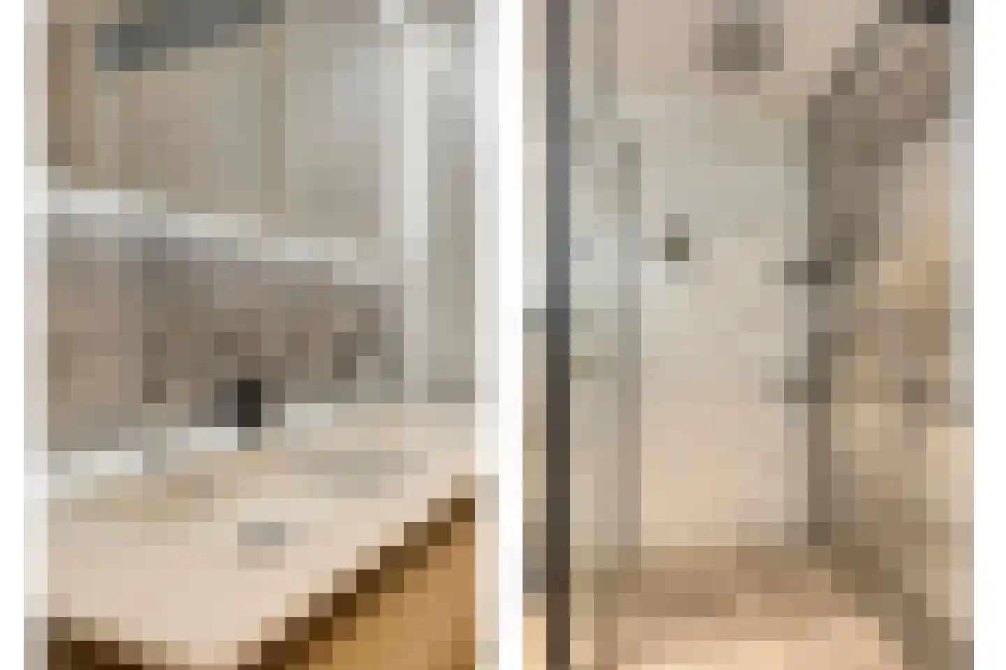 Seine 11 Nieuwerkerk aan den IJssel thumbnail 32