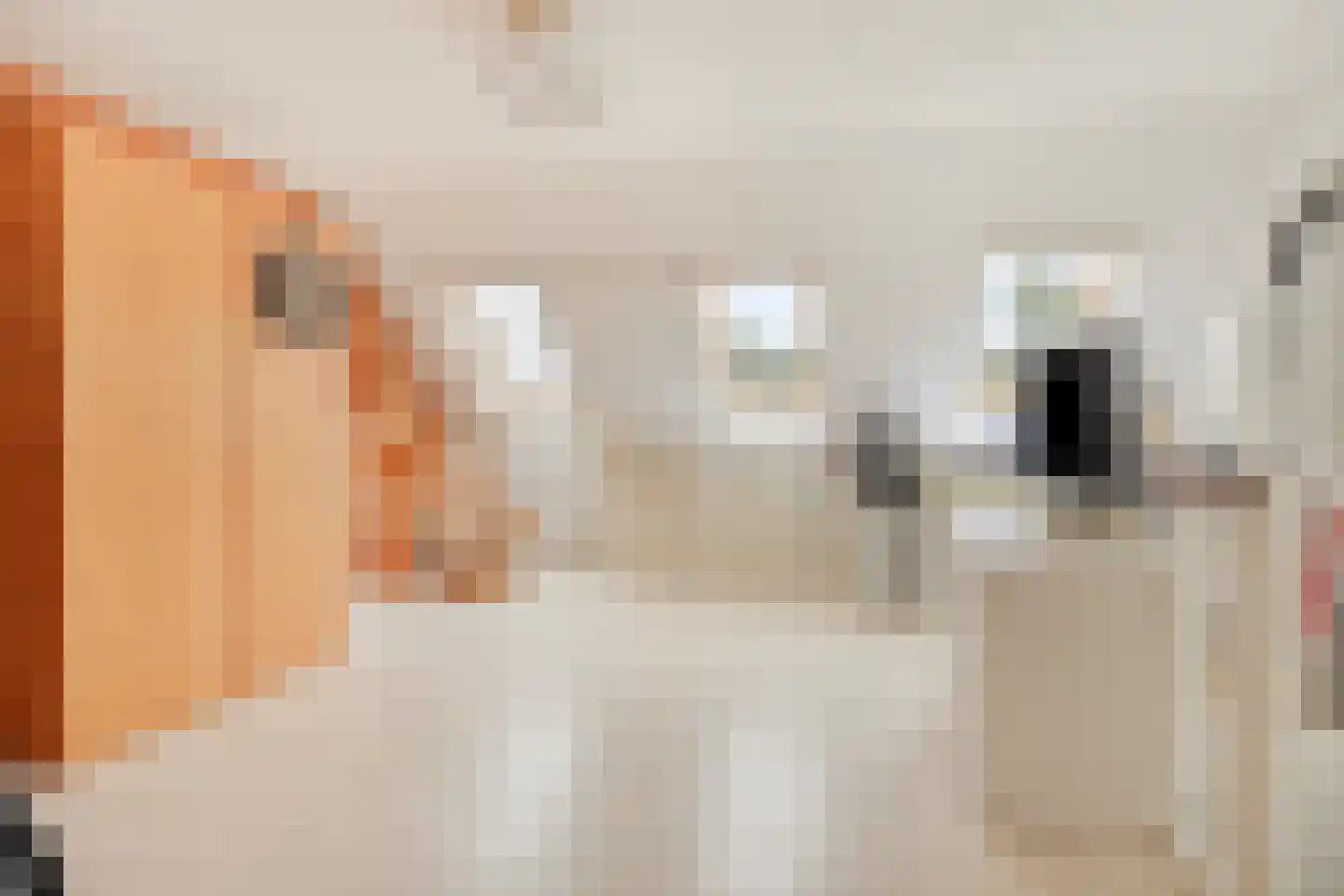 Seine 11 Nieuwerkerk aan den IJssel thumbnail 33