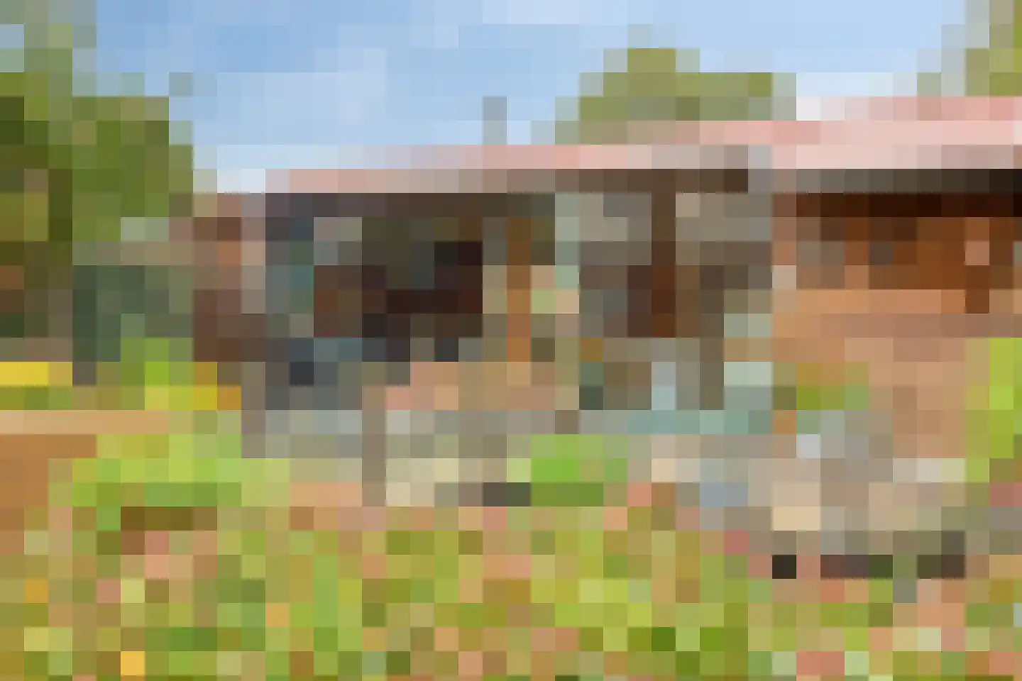 Seine 11 Nieuwerkerk aan den IJssel thumbnail 35