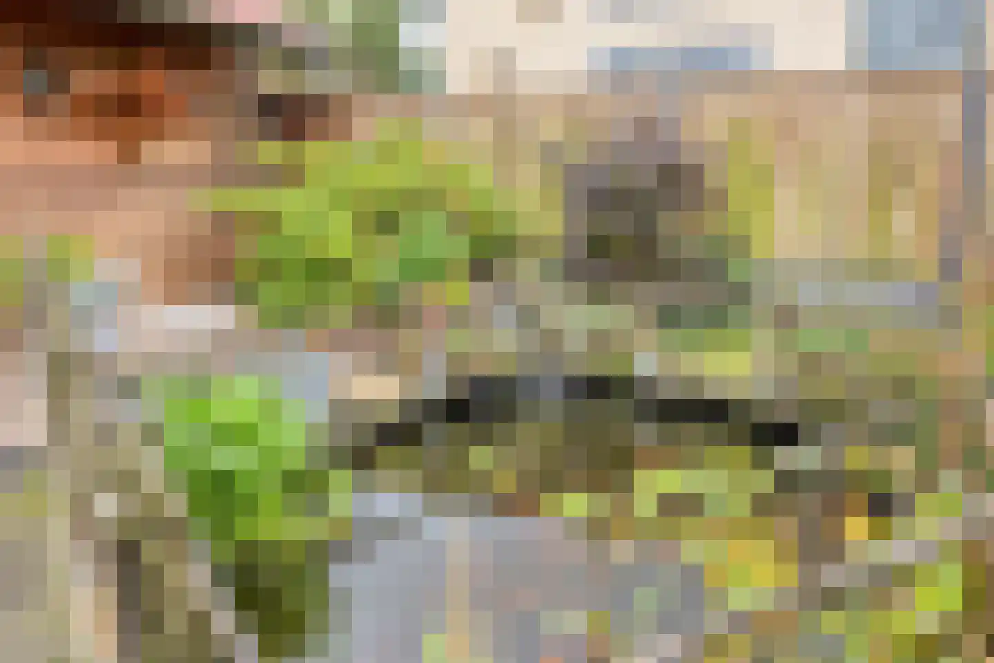 Seine 11 Nieuwerkerk aan den IJssel thumbnail 36