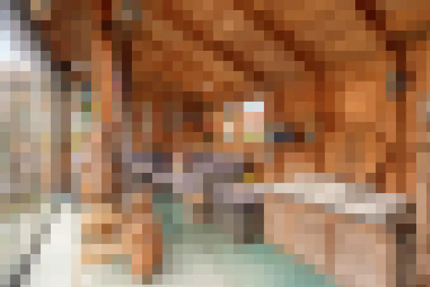 Seine 11 Nieuwerkerk aan den IJssel thumbnail 38