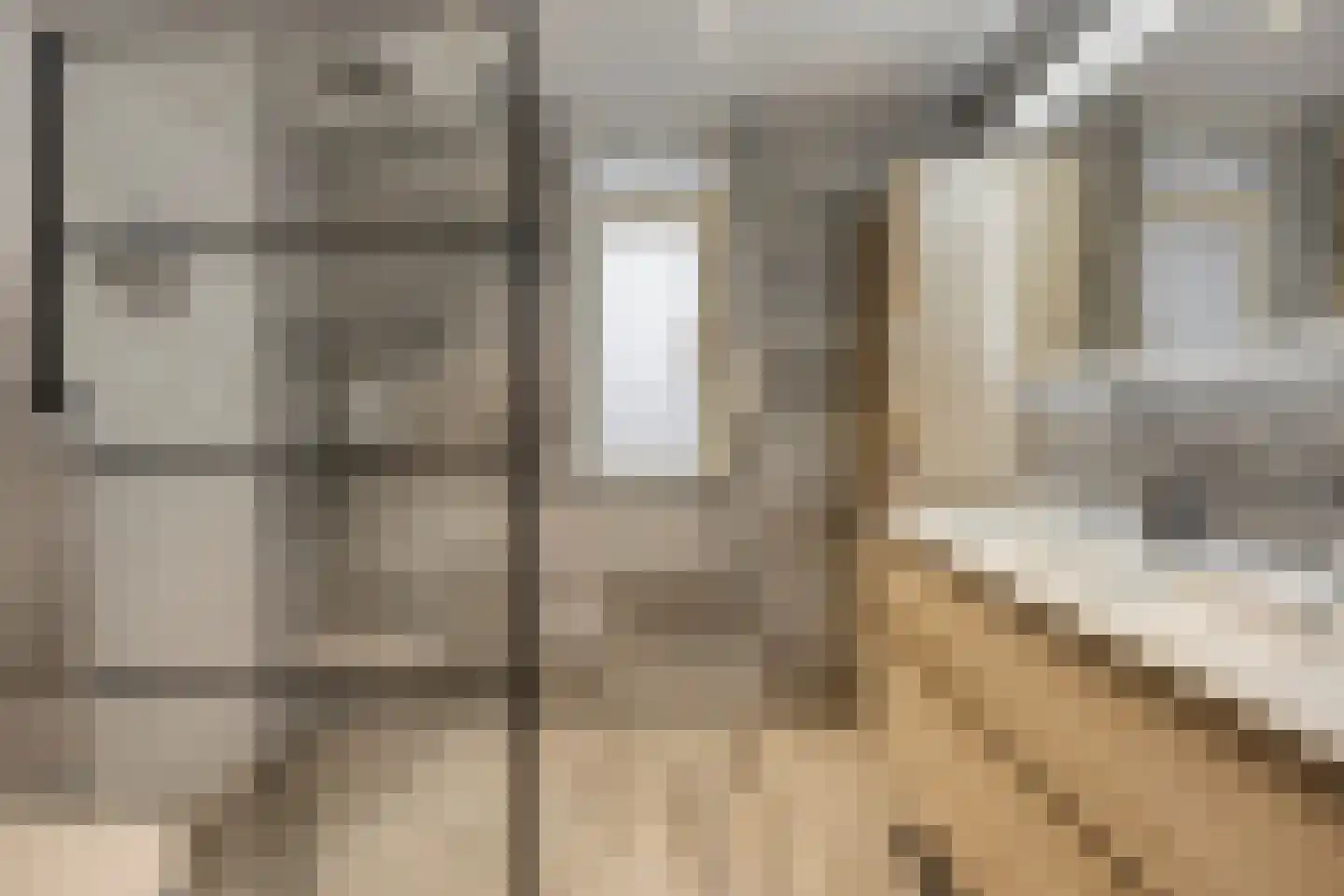 Seine 11 Nieuwerkerk aan den IJssel thumbnail 5