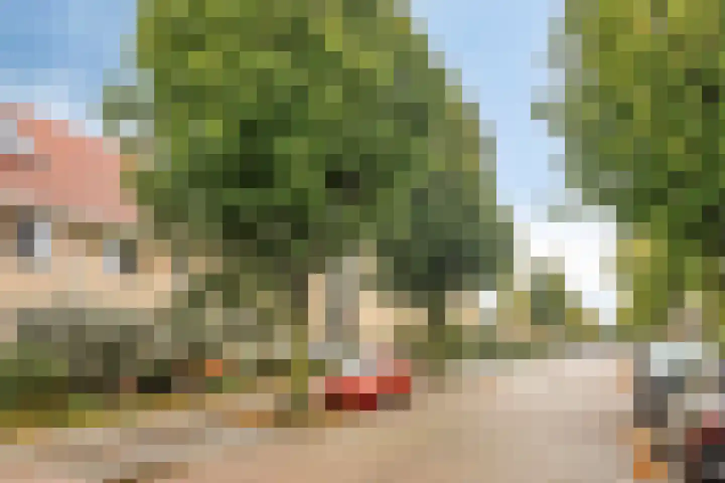 Seine 11 Nieuwerkerk aan den IJssel thumbnail 50
