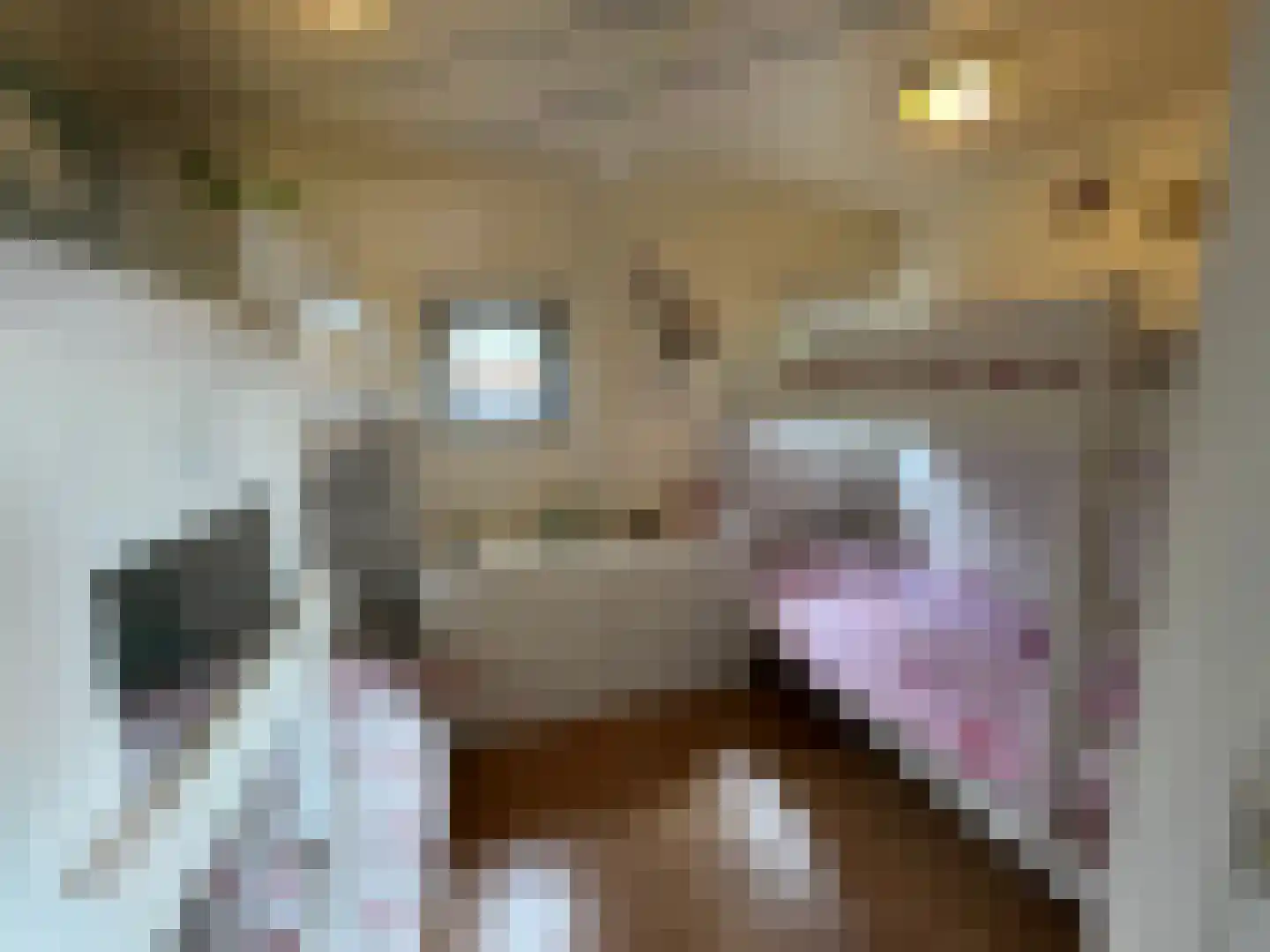 Seine 2 2 Terherne thumbnail 11