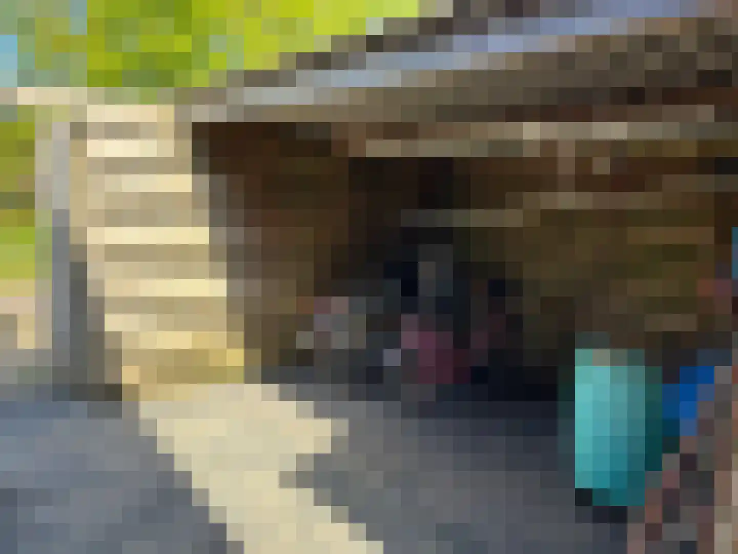 Seine 2 2 Terherne thumbnail 15