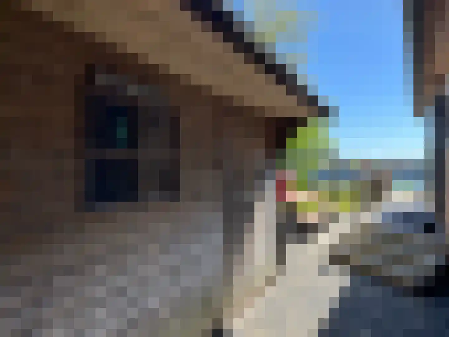 Seine 2 2 Terherne thumbnail 16