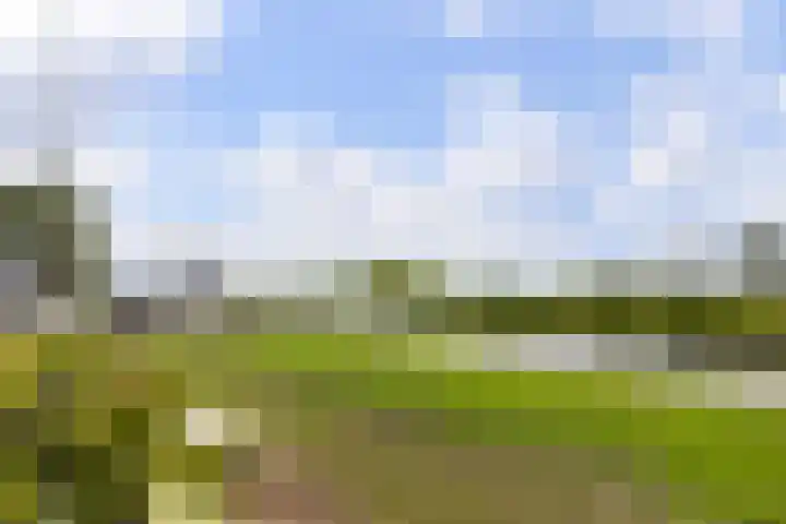 Seine 2 58 Terherne thumbnail 10