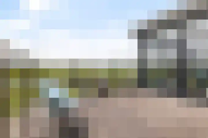 Seine 2 58 Terherne thumbnail 13