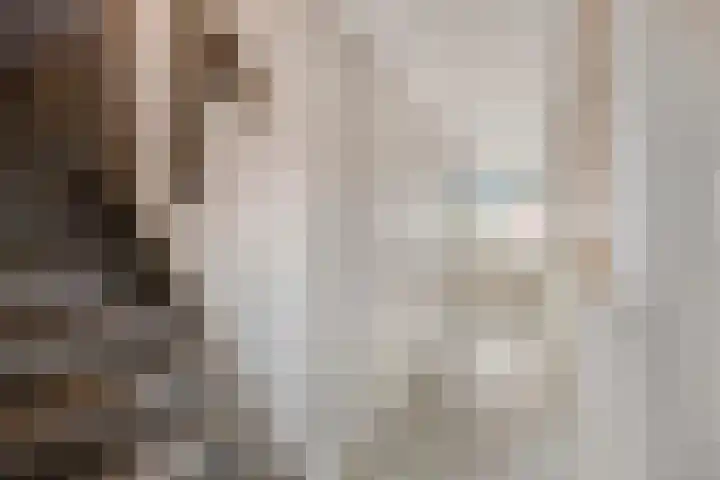 Seine 2 58 Terherne thumbnail 14