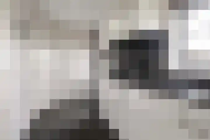 Seine 2 58 Terherne thumbnail 17