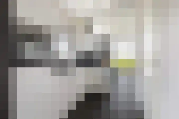 Seine 2 58 Terherne thumbnail 18