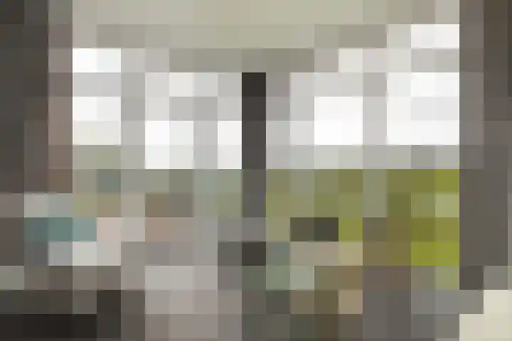Seine 2 58 Terherne thumbnail 22