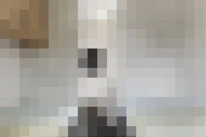Seine 2 58 Terherne thumbnail 29