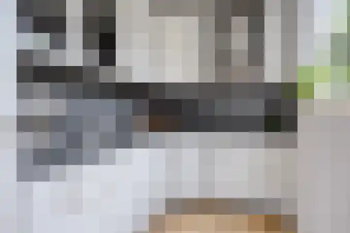 Seine 2 58 Terherne thumbnail 30