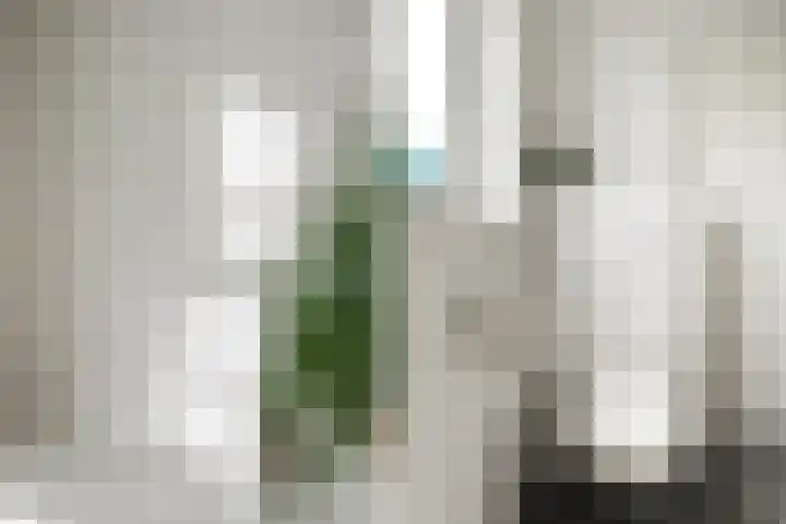 Seine 2 58 Terherne thumbnail 31