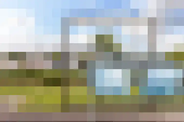 Seine 2 58 Terherne thumbnail 34