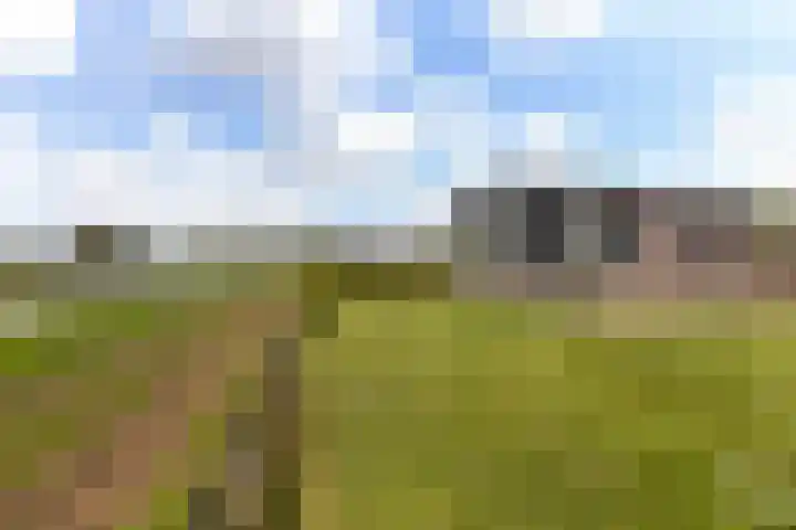 Seine 2 58 Terherne thumbnail 35