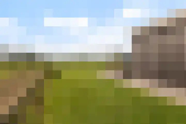 Seine 2 58 Terherne thumbnail 36