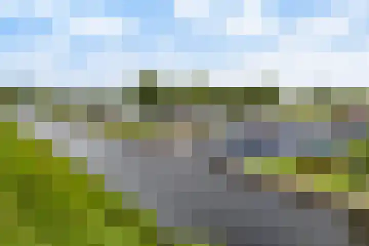 Seine 2 58 Terherne thumbnail 4