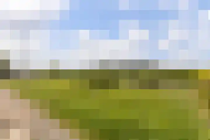 Seine 2 58 Terherne thumbnail 43