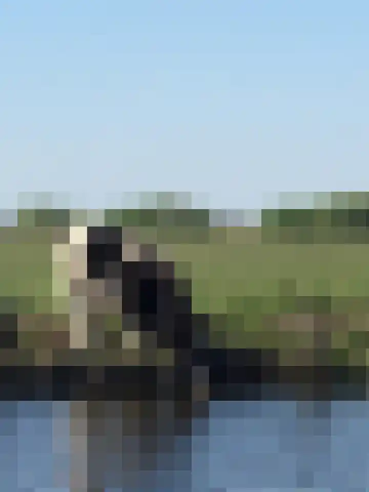 Seine 2 58 Terherne thumbnail 48