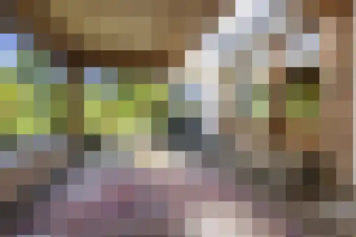 Seine 2 58 Terherne thumbnail 51