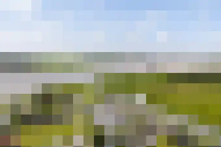 Seine 2 58 Terherne thumbnail 53