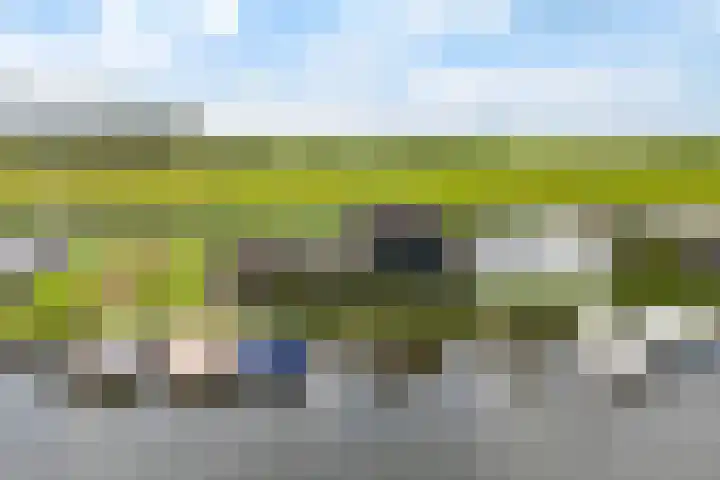Seine 2 58 Terherne thumbnail 6