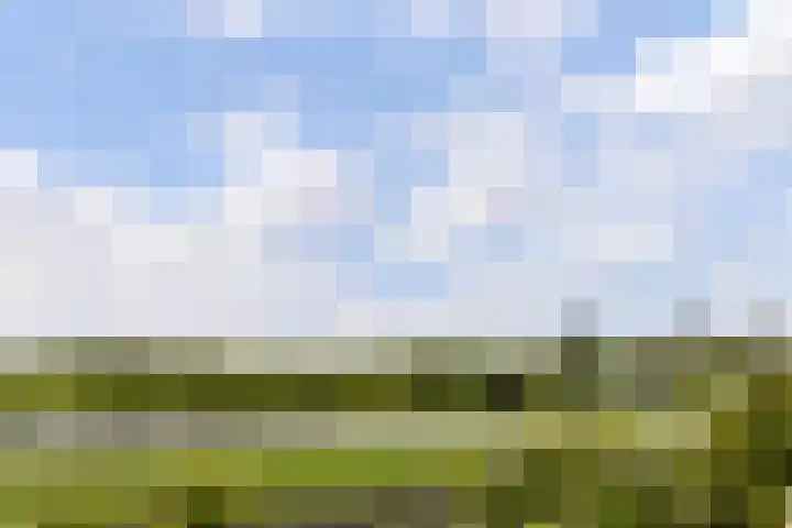 Seine 2 58 Terherne thumbnail 8