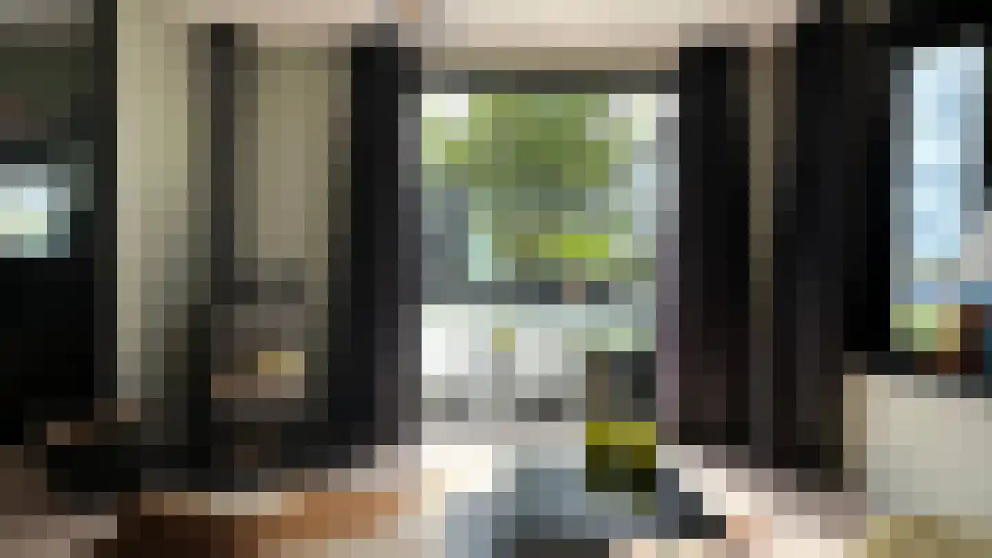 Seine 2 74 Terherne thumbnail 10