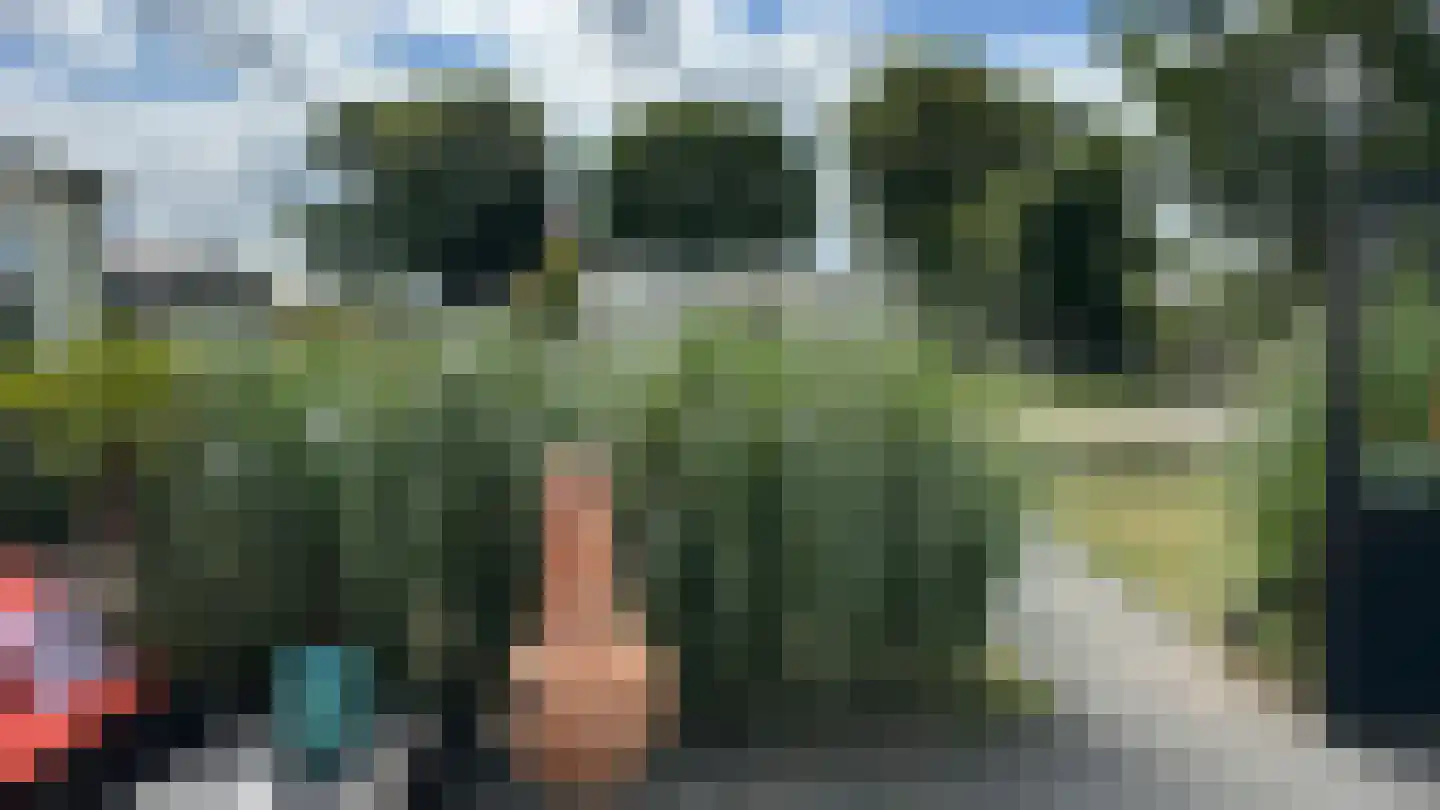 Seine 2 74 Terherne thumbnail 23