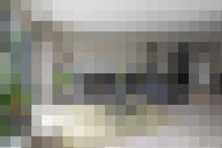 Seine 20 Nieuwerkerk aan den IJssel thumbnail 10