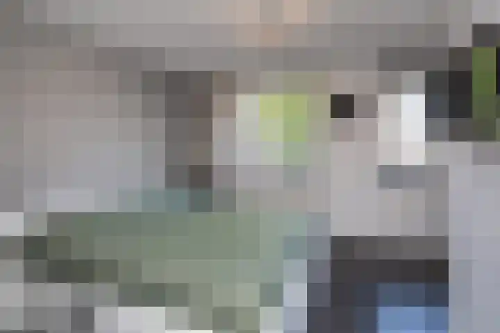 Seine 20 Nieuwerkerk aan den IJssel thumbnail 15
