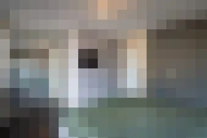 Seine 20 Nieuwerkerk aan den IJssel thumbnail 16